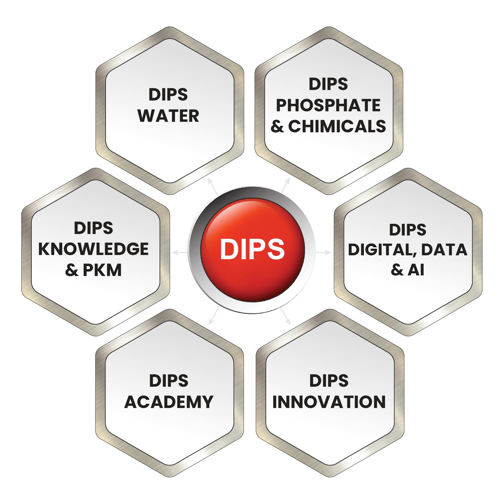 Écosystème DIPS — 5 domaines d'intervention